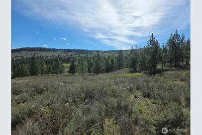 144 Reevas Basin Road, Tonasket, WA 98855 - Photo 4