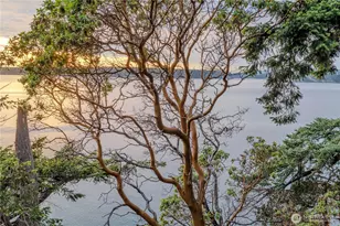311 E Cove Rd, Decatur Island, WA 98221 - Photo 28