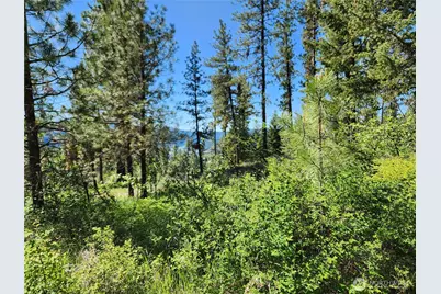 0 Gold Mountain Road, Republic, WA 99166 - Photo 4