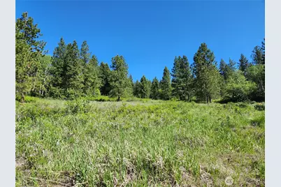 0 Gold Mountain Road, Republic, WA 99166 - Photo 8