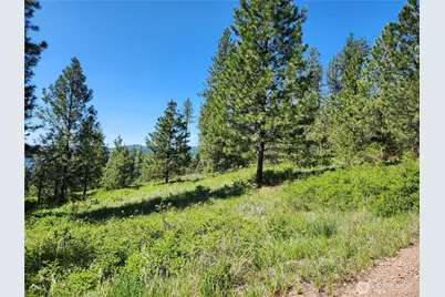 0 Gold Mountain Road, Republic, WA 99166 - Photo 2