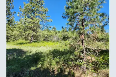 0 Gold Mountain Road, Republic, WA 99166 - Photo 6