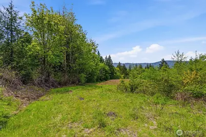 0 E State Route 4, Cathlamet, WA 98612 - Photo 10
