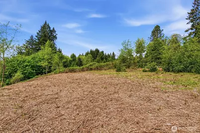 0 E State Route 4, Cathlamet, WA 98612 - Photo 14