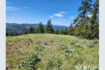 0 E Knob Hill Road, Republic, WA 99166 - Photo 2