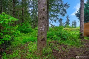 1546 Reservation Rd SE, Olympia, WA 98513 - Photo 36