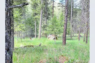 0 Evergreen Drive, Curlew, WA 99118 - Photo 4
