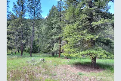 0 Evergreen Drive, Curlew, WA 99118 - Photo 1