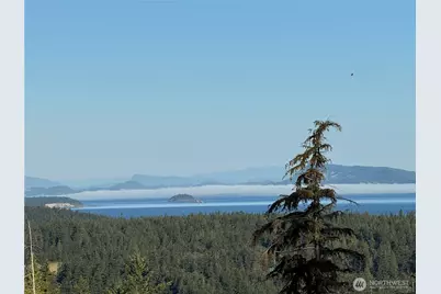 463 Wright Road, Orcas Island, WA 98245 - Photo 2