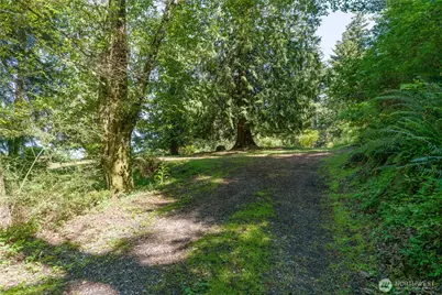 463 Wright Road, Orcas Island, WA 98245 - Photo 8