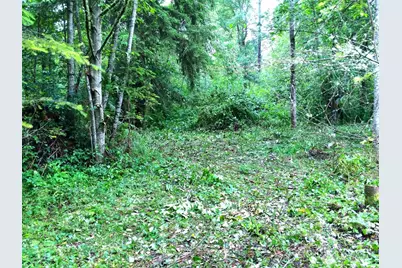 36610 48th Avenue S, Roy, WA 98580 - Photo 4