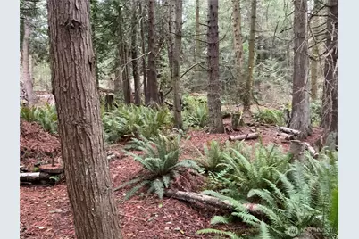 4853 Cape George Road, Port Townsend, WA 98368 - Photo 8
