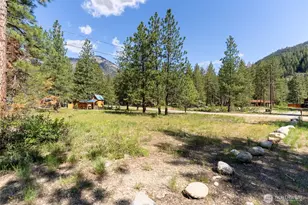 13 &11 Littel Rd, Mazama, WA 98833 - Photo 40