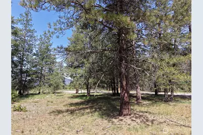 4 Mazama Meadows Lane, Mazama, WA 98833 - Photo 12