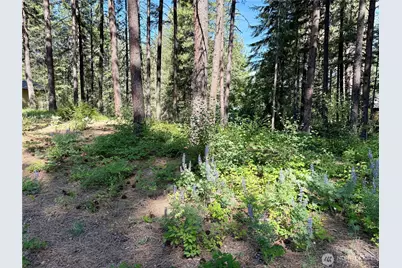 11 Highland Meadows, Winthrop, WA 98862 - Photo 10