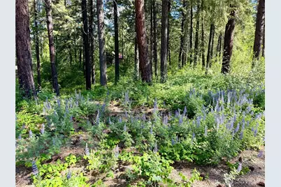 11 Highland Meadows, Winthrop, WA 98862 - Photo 2
