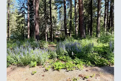 11 Highland Meadows, Winthrop, WA 98862 - Photo 12