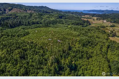 0 Eden Valley Road, Rosburg, WA 98643 - Photo 2