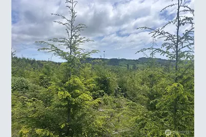 0 Eden Valley Road, Rosburg, WA 98643 - Photo 4