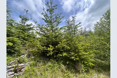 0 Eden Valley Road, Rosburg, WA 98643 - Photo 6
