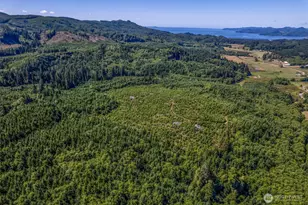 0 Eden Valley Rd, Rosburg, WA 98643 - Photo 1