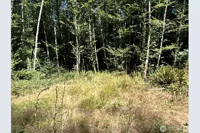 1 Eden Valley Road, Rosburg, WA 98643 - Photo 4