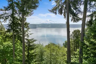 10823 Seaview Dr, Anderson Island, WA 98303 - Photo 4