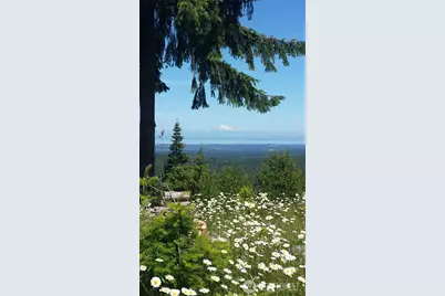 1648 Township Line Road, Port Angeles, WA 98362 - Photo 40