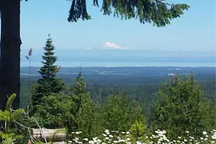1648 Township Line Rd, Port Angeles, WA 98362 - Photo 40
