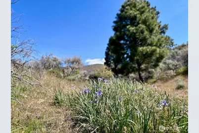 4 Xx Secret Canyon Road, Ellensburg, WA 98926 - Photo 16