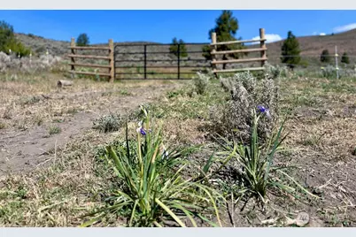 4 Xx Secret Canyon Road, Ellensburg, WA 98926 - Photo 10