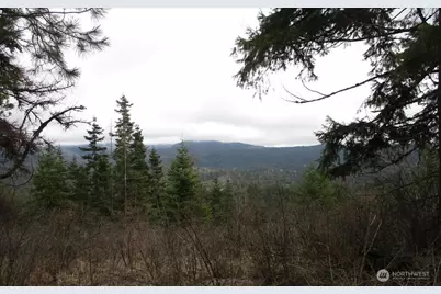 18 Xxx Miner Road, Mead, WA 99021 - Photo 30