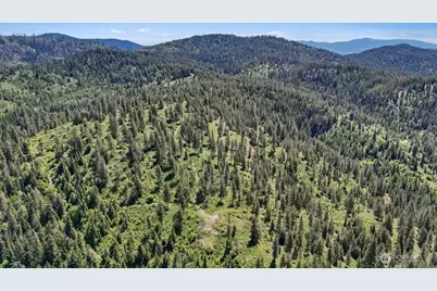 18 Xxx Miner Road, Mead, WA 99021 - Photo 8