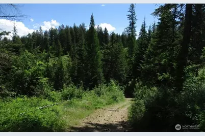 18 Xxx Miner Road, Mead, WA 99021 - Photo 36