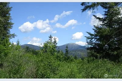 18 Xxx Miner Road, Mead, WA 99021 - Photo 12