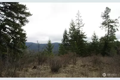 18 Xxx Miner Road, Mead, WA 99021 - Photo 24