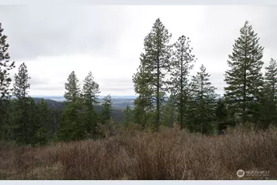 18 Xxx Miner Road, Mead, WA 99021 - Photo 26