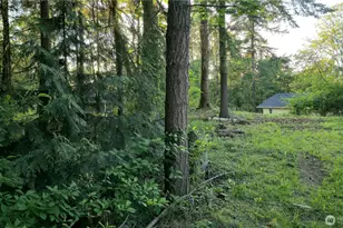 4156 Agate Rd, Bellingham, WA 98226 - Photo 34
