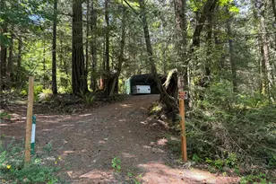 311231 Hwy 101, Brinnon, WA 98320 - Photo 38