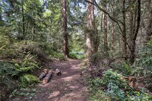 15873 Peacock Hill Rd SE, Olalla, WA 98359 - Photo 12