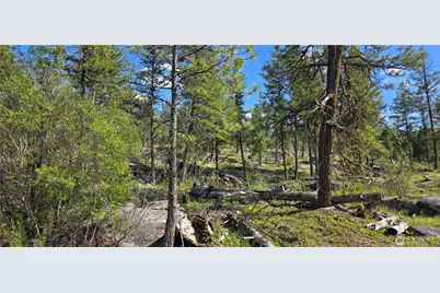 385 W Corral, Oroville, WA 98844 - Photo 4