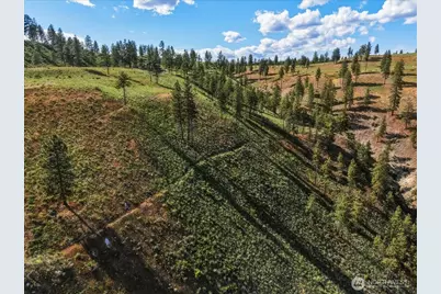 6575 Union Valley Road, Chelan, WA 98816 - Photo 12