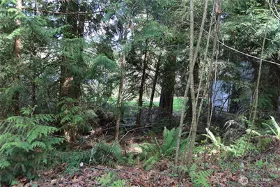 260 Xx SE 18th Place, Sammamish, WA 98075 - Photo 12