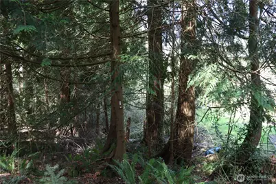 260 Xx SE 18th Place, Sammamish, WA 98075 - Photo 2