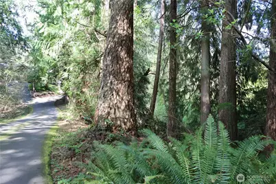 260 Xx SE 18th Place, Sammamish, WA 98075 - Photo 6