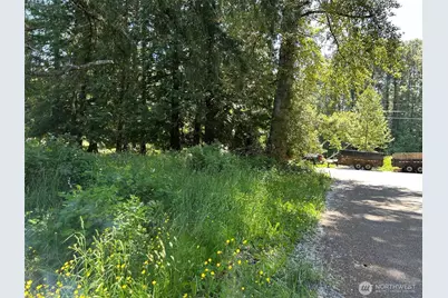 201 Morgan Lane, Brinnon, WA 98320 - Photo 4