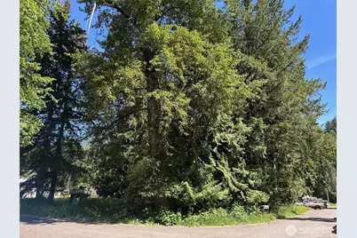201 Morgan Lane, Brinnon, WA 98320 - Photo 2