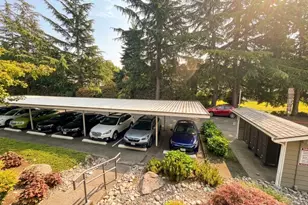 12511 SE 41st Pl, Bellevue, WA 98006 - Photo 16