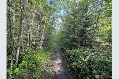 0 92+ Ac Headwaters Lane, Port Angeles, WA 98362 - Photo 12