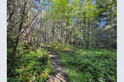 0 92+ Ac Headwaters Lane, Port Angeles, WA 98362 - Photo 24